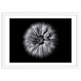Backyard Flowers In Black And White No 10 Flow Version thumbnail