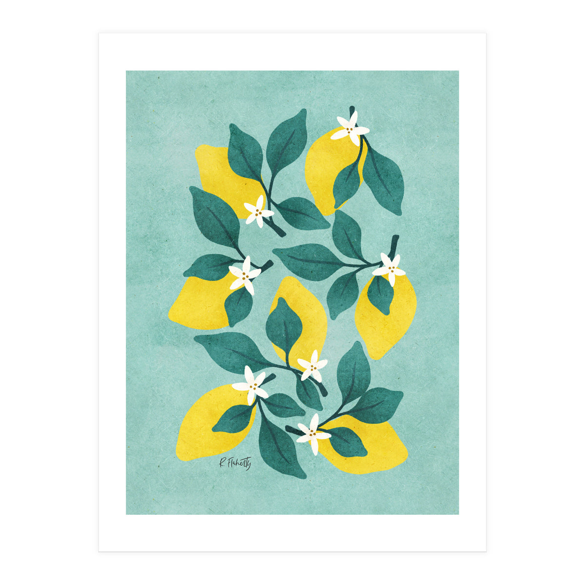 Lemon Blossom (Print Only)