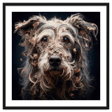 Old Dog 09 thumbnail