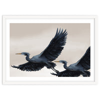 Migrating Herons