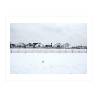 A seagull and snow covered houses (Print Only)