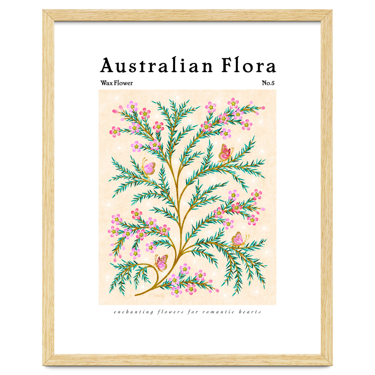 Australian Flora: Wax Flower