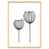 Two wildflowers thumbnail