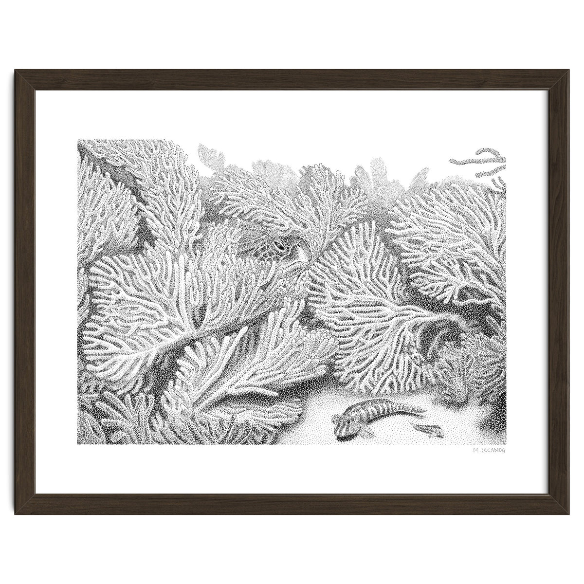 Hidden in plain sight