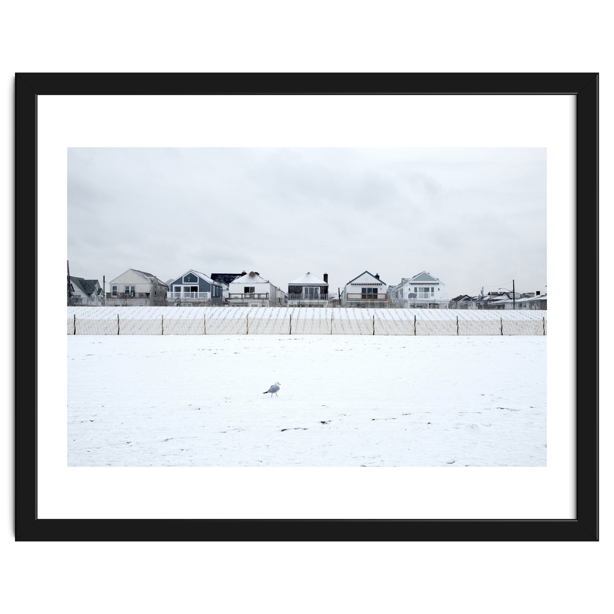 A seagull and snow covered houses