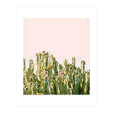 Cactus Blush #society6 #decor #buyart (Print Only) thumbnail
