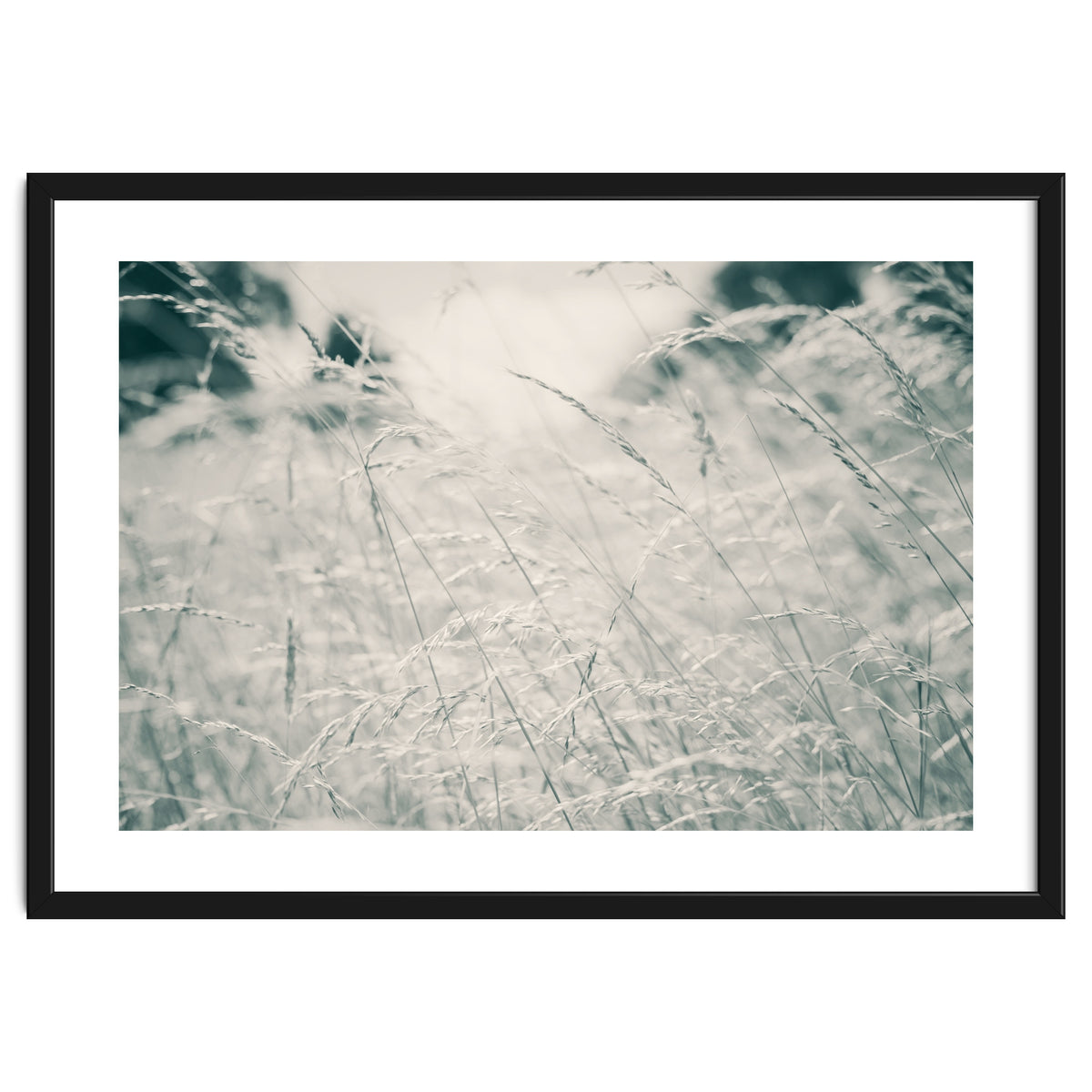Walking Through Long Grass