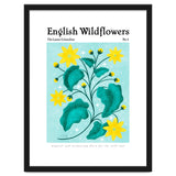 English Wildflowers | Lesser Celandine thumbnail