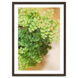Maidenhair Queen thumbnail