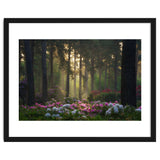 Rhododendron forest thumbnail