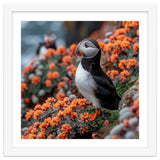 Atlantic Puffin Bird Perched On Orange Flowers thumbnail