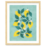 Lemon Blossom thumbnail