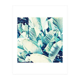 Banana Leaf Crush (Print Only) thumbnail