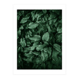 New Foliage Green Ii (Print Only) thumbnail