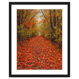 Lush Autumn Forest Path Covered thumbnail