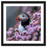 Atlantic Puffin Amidst Pink Heather Flowers thumbnail