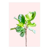 Intimate Energy, Blush Pastel Botanical Plant Minimal Painting, Pink Green Nature (Print Only) thumbnail