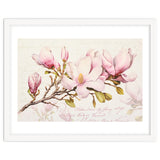 Magnolia Spring Romance Pink thumbnail