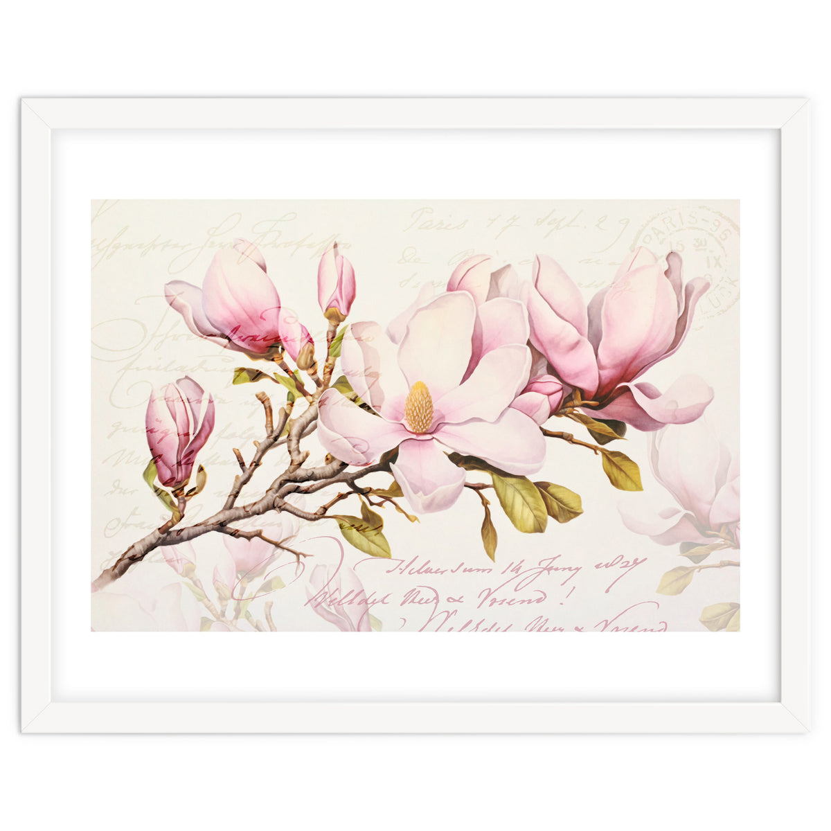 Magnolia Spring Romance Pink