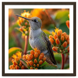 Hummingbird Perched On Orange Flowers thumbnail