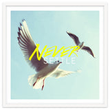 Never Settle thumbnail