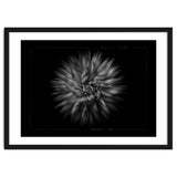 Backyard Flowers In Black And White No 20 Flow Version with Border thumbnail