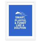 Smart, playful and funny like a dolphin thumbnail