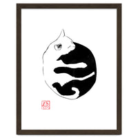 Ying yang Cat