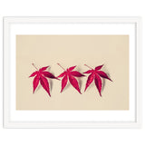 Dancing Leaves thumbnail