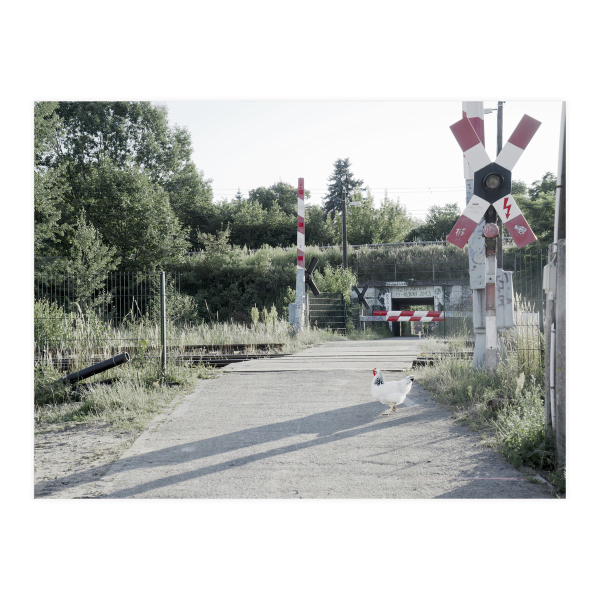 A chicken crossing a railroad (Print Only)