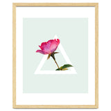 Rose thumbnail