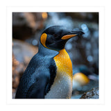 King Penguin Close Up Portrait Nature (Print Only) thumbnail