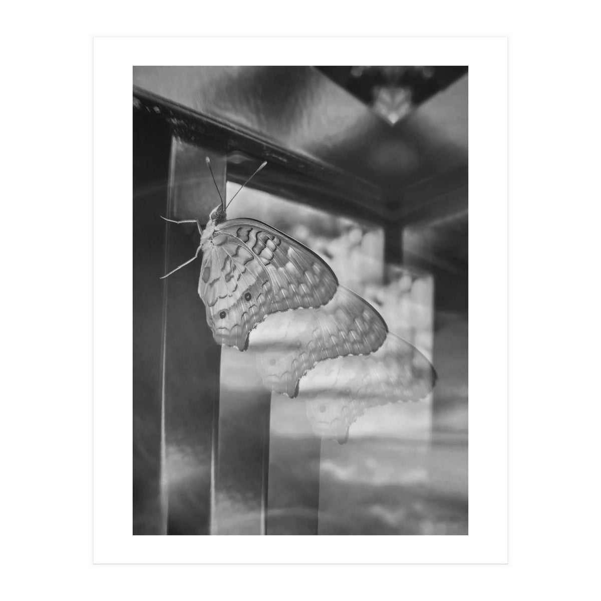 Evolving | Black & White (Print Only)