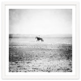 Sea Horse thumbnail