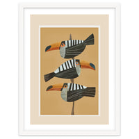 Tropic Trio