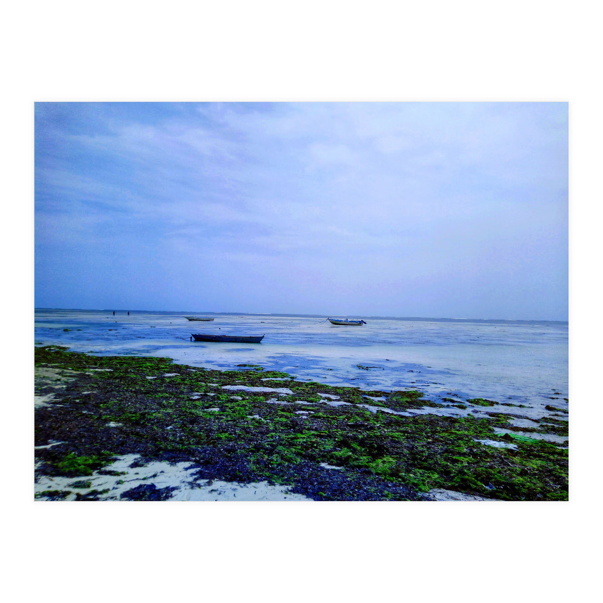 Ocean Beach At Low Tide (Print Only)