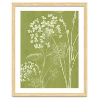 Wildflowers III