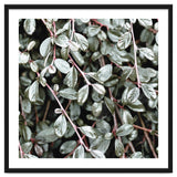 Rain #society6 #decor #buyart thumbnail