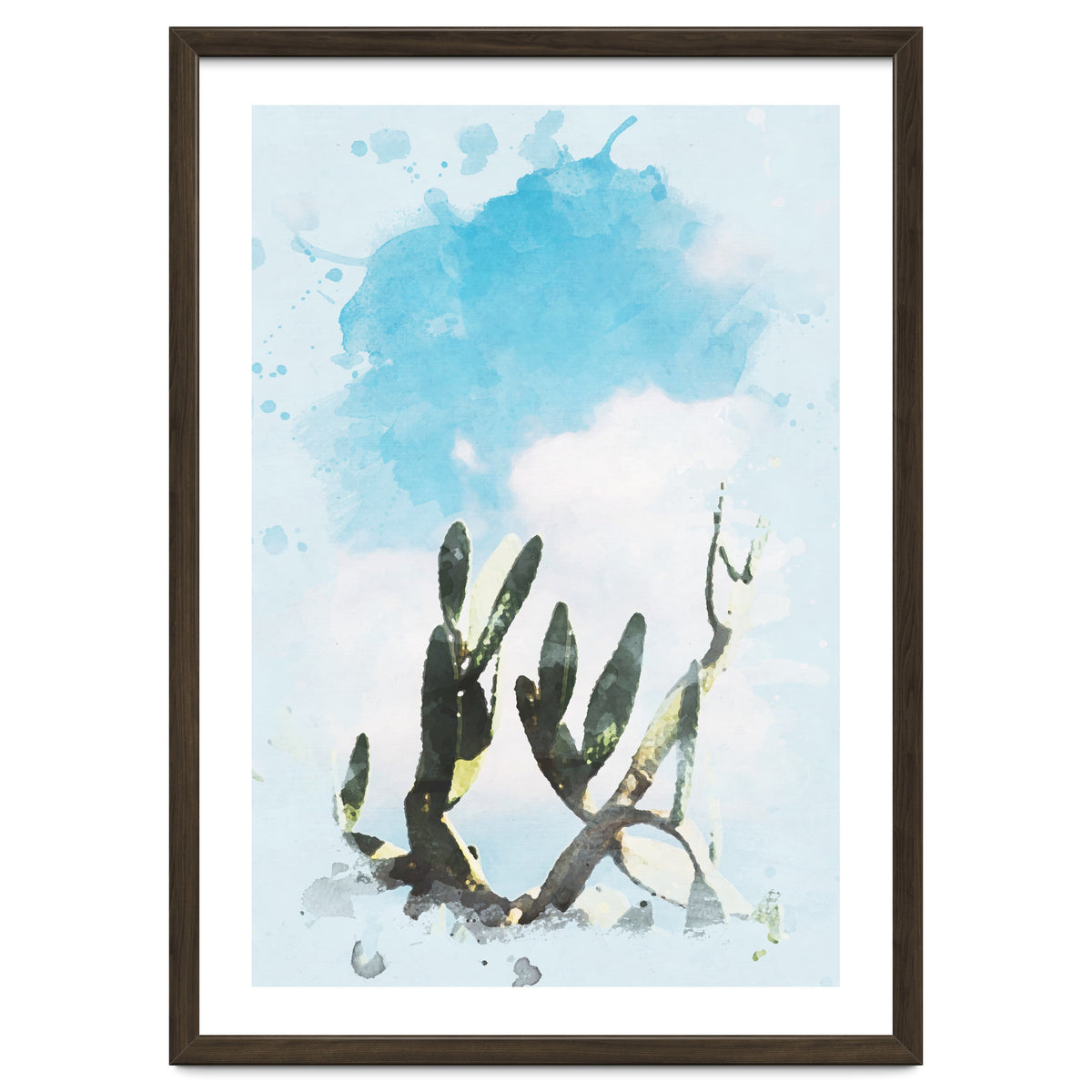 Cactus & Sky