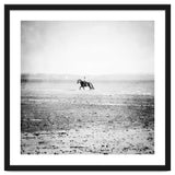 Sea Horse thumbnail