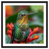 Close Up Of A Hummingbird On Red Flowers thumbnail