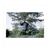 Blue hut on the tree (Print Only) thumbnail