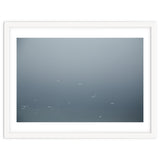 Flying Segulls in thet winter sky thumbnail