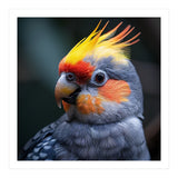 Cockatiel Parrot With Yellow Crest And Orange Cheeks (Print Only) thumbnail