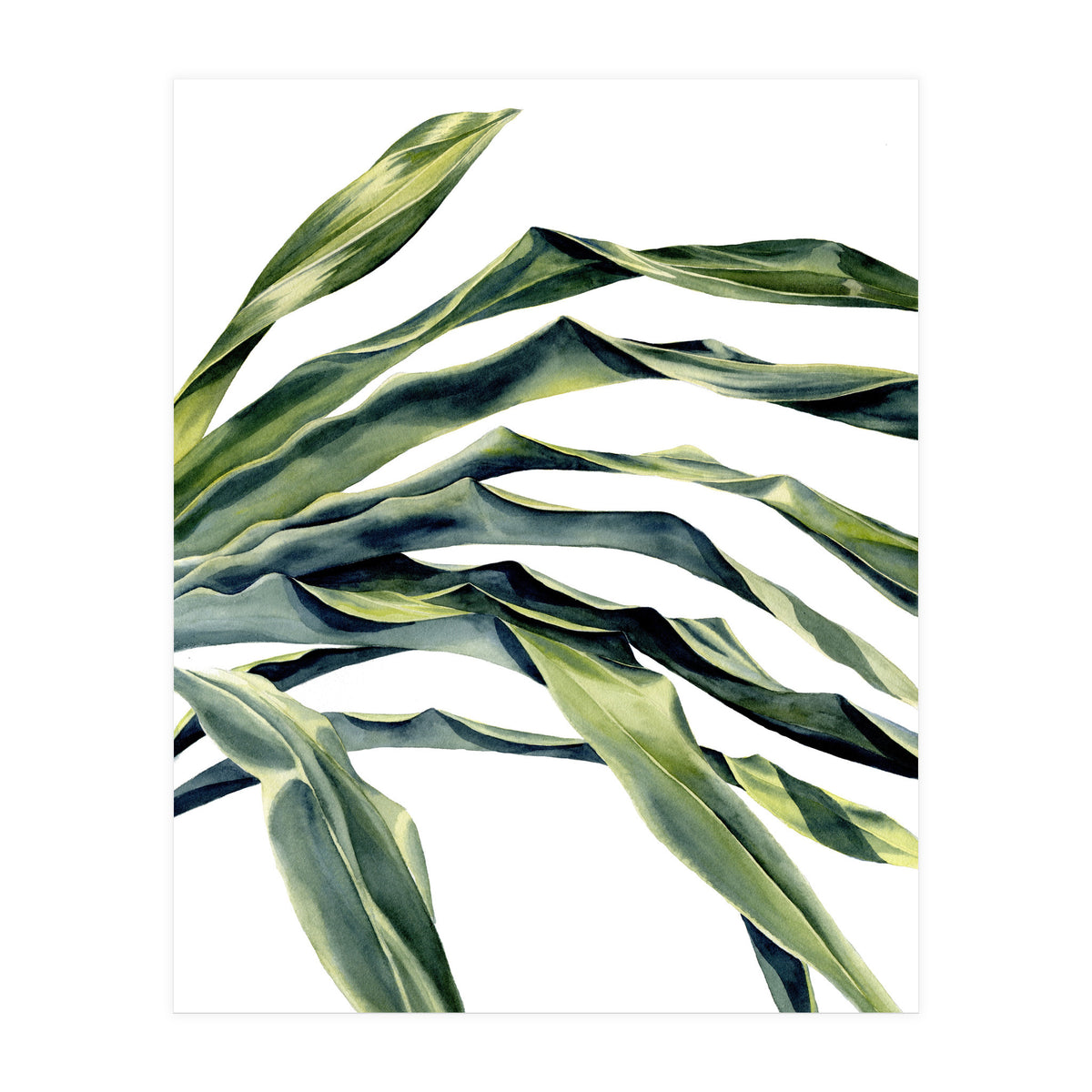 Green Palm Leaves (Print Only)