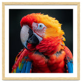 Scarlet Macaw Parrot Portrait Vivid Colors thumbnail