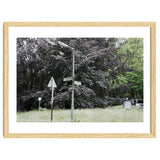 Signs at the corner of the street thumbnail