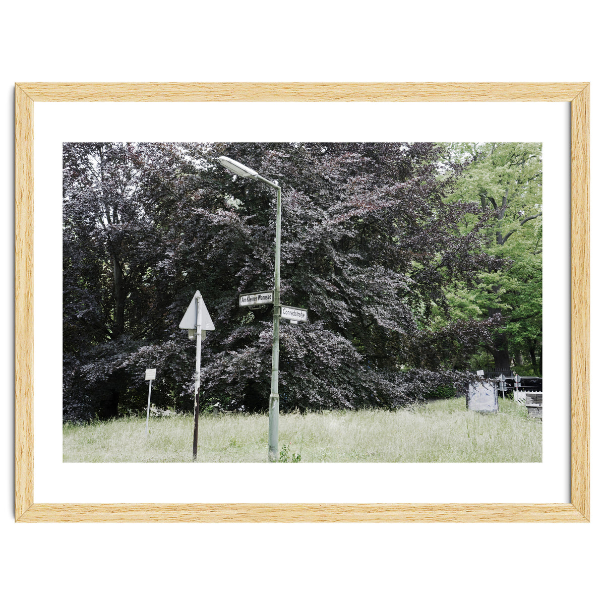 Signs at the corner of the street