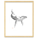 Whale thumbnail