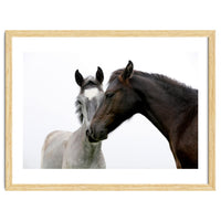Two Horses
